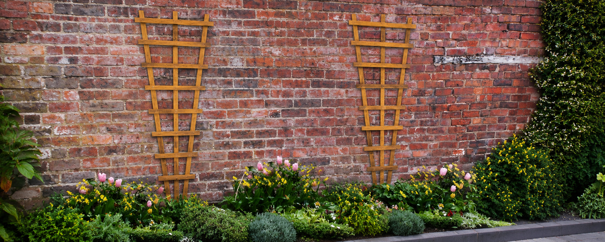 Trellis-and-Lattice | Sheds.co.uk