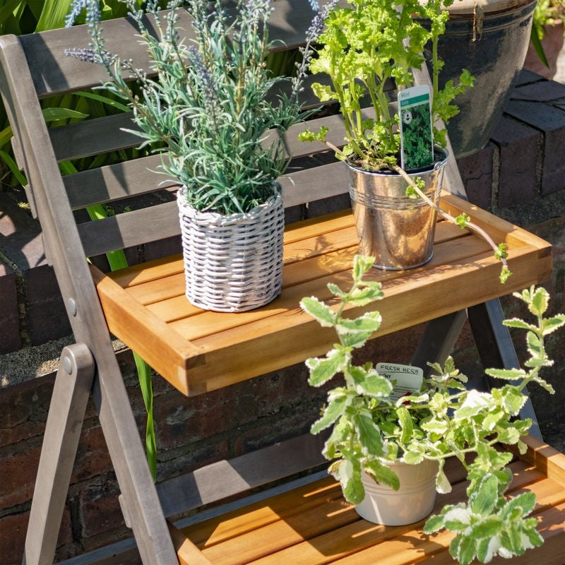 Rowlinson Alderley Plant Ladder - Small | Sheds.co.uk