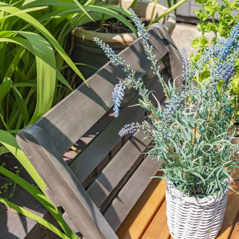 Rowlinson Alderley Plant Ladder - Small | Sheds.co.uk