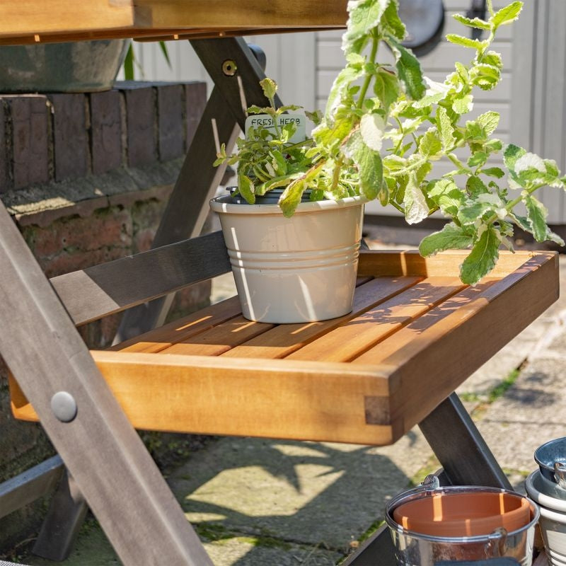 Rowlinson Alderley Plant Ladder - Small | Sheds.co.uk