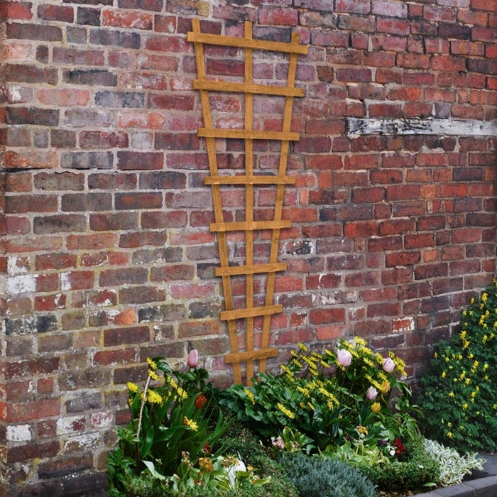 Hartwood Heavy Duty Traditional Fan Trellis | Sheds.co.uk
