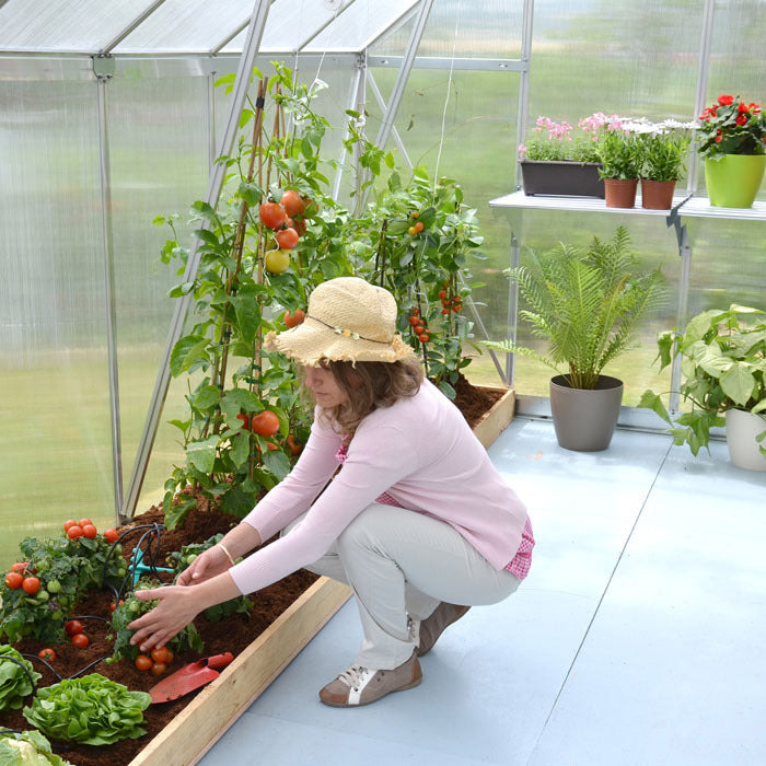 Palram - Canopia 8' x 12' Essence Silver Polycarbonate Greenhouse | Sheds.co.uk