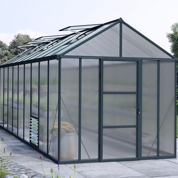 Palram - Canopia 8' x 20' Glory Anthracite Polycarbonate Greenhouses | Sheds.co.uk