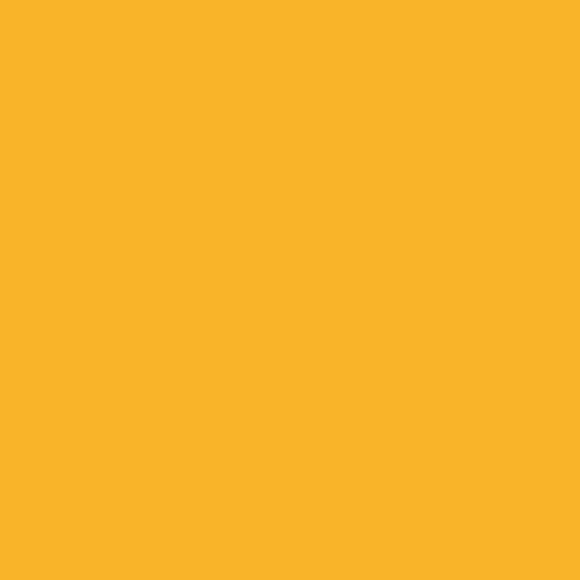 #Colour_Drawing Room Gold