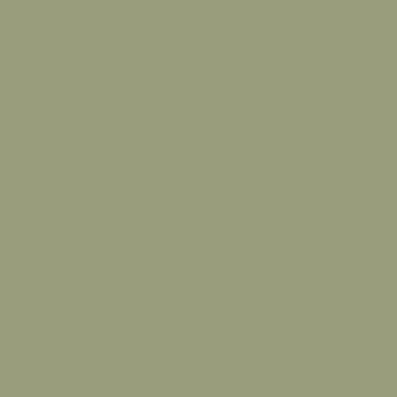 #Colour_Olive Green