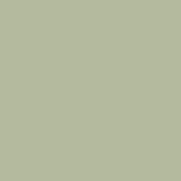 #Colour_Pond Green