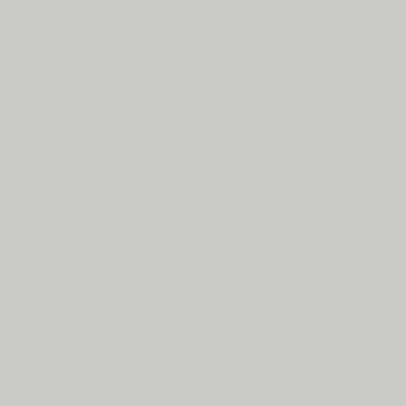 #Colour_Silver Grey