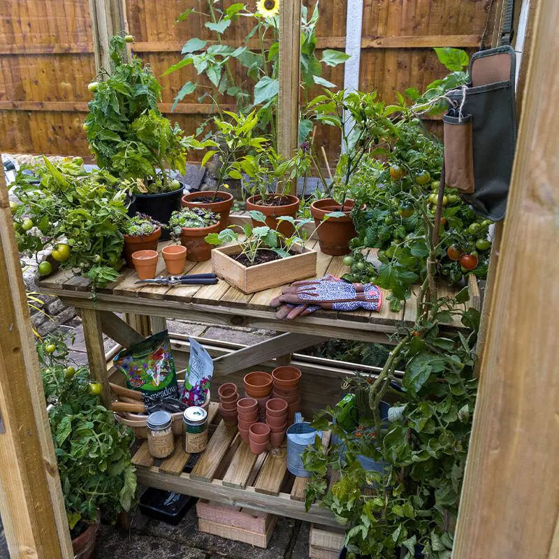 Hartwood 6' x 4' Dale Lean-To Wooden Greenhouse | Sheds.co.uk