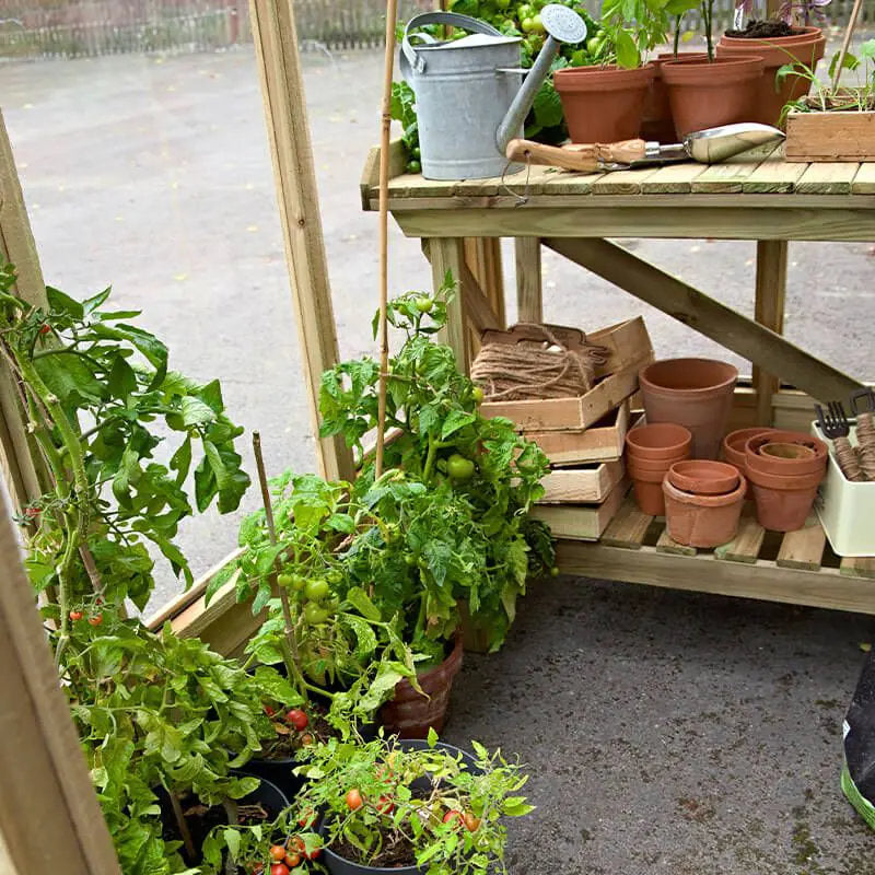 Hartwood 6' x 4' Dale Lean-To Wooden Greenhouse | Sheds.co.uk