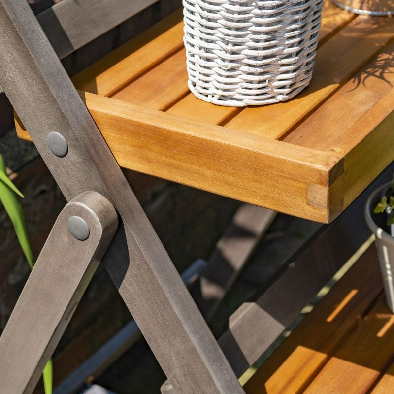 Rowlinson Alderley Plant Ladder - Small | Sheds.co.uk