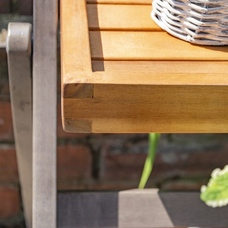 Rowlinson Alderley Plant Ladder - Small | Sheds.co.uk