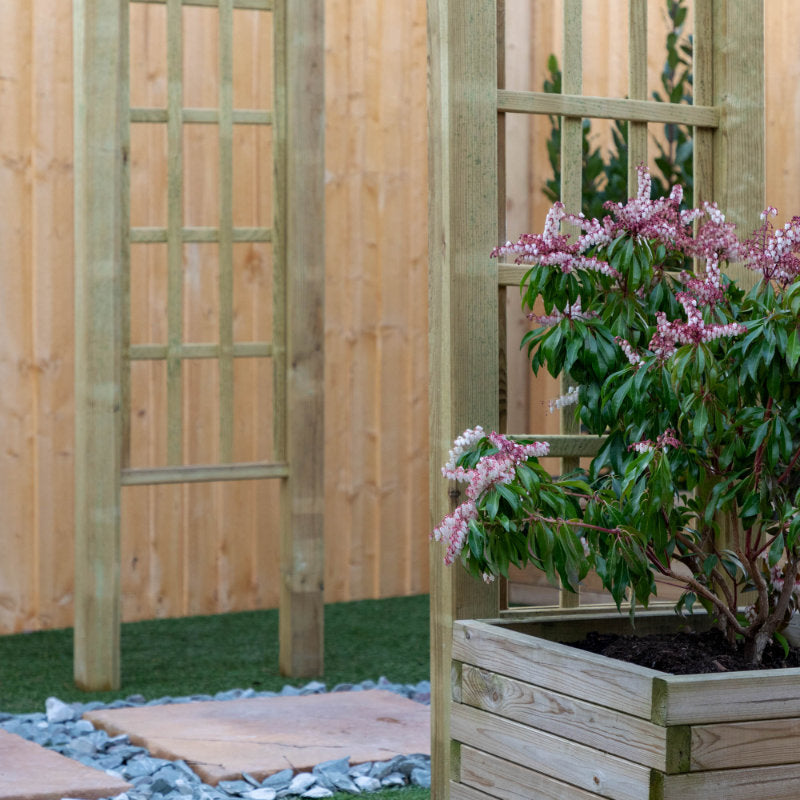 Adley Daffodil Garden Arch | Sheds.co.uk