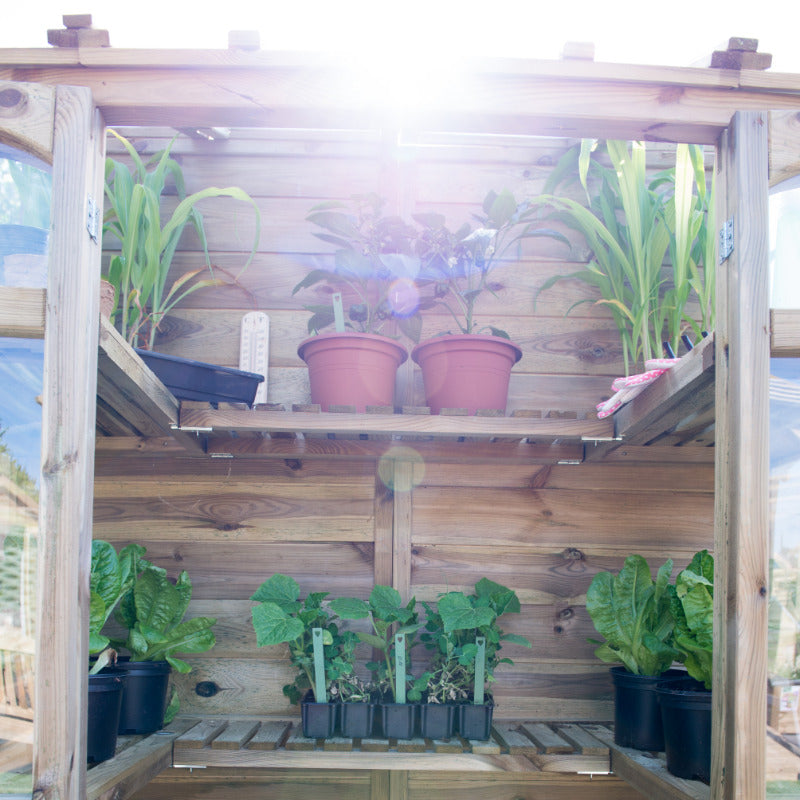 Hartwood 5' x 2' Victorian Tall Wall Greenhouse | Sheds.co.uk