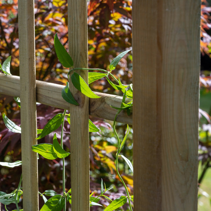 Hartwood Kensington Garden Arch | Sheds.co.uk
