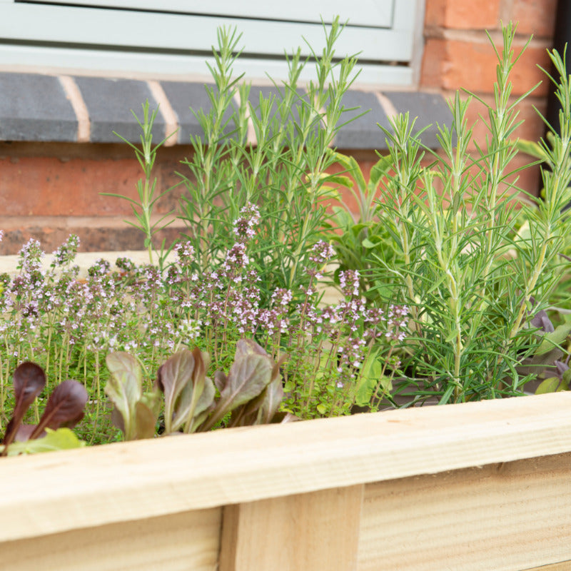 Hartwood Large Kitchen Garden Planter | Sheds.co.uk