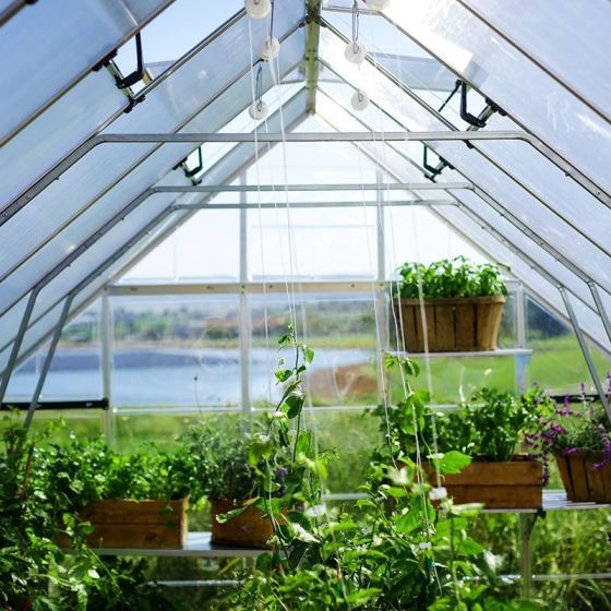 Palram - Canopia 10' x 12' Balance Silver Polycarbonate Greenhouse | Sheds.co.uk