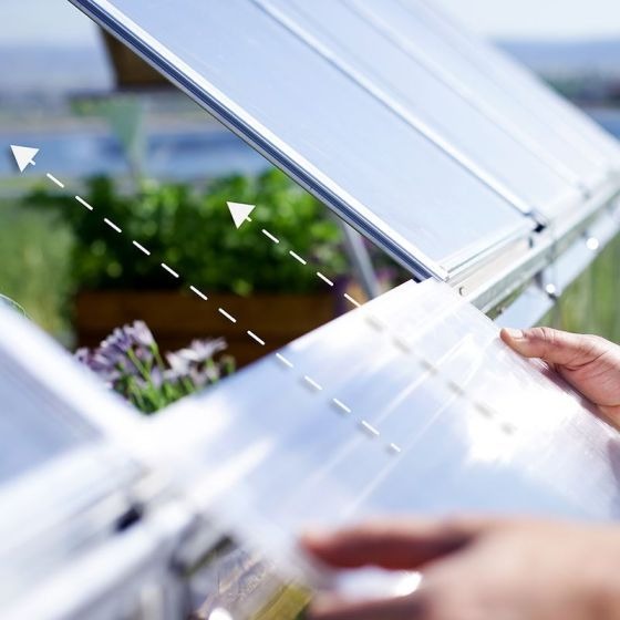 Palram - Canopia 10' x 12' Balance Silver Polycarbonate Greenhouse | Sheds.co.uk