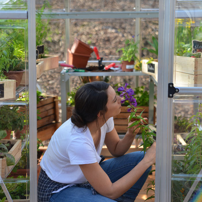 Palram - Canopia 6' x 8' Nature Hybrid Polycarbonate Greenhouse | Sheds.co.uk