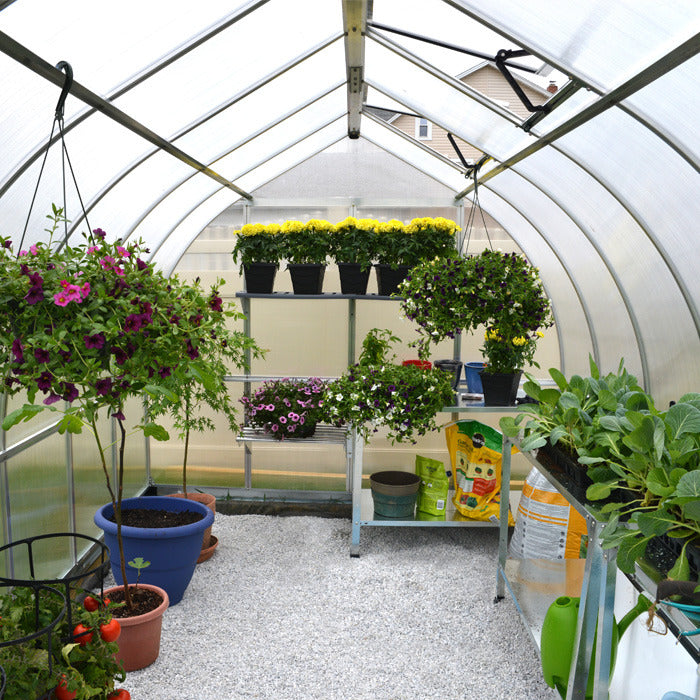 Palram - Canopia 8' x 20' Bella Silver Polycarbonate Greenhouse | Sheds.co.uk
