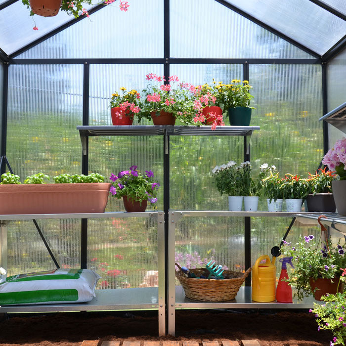 Palram - Canopia 8' x 8' Glory Anthracite Polycarbonate Greenhouses | Sheds.co.uk