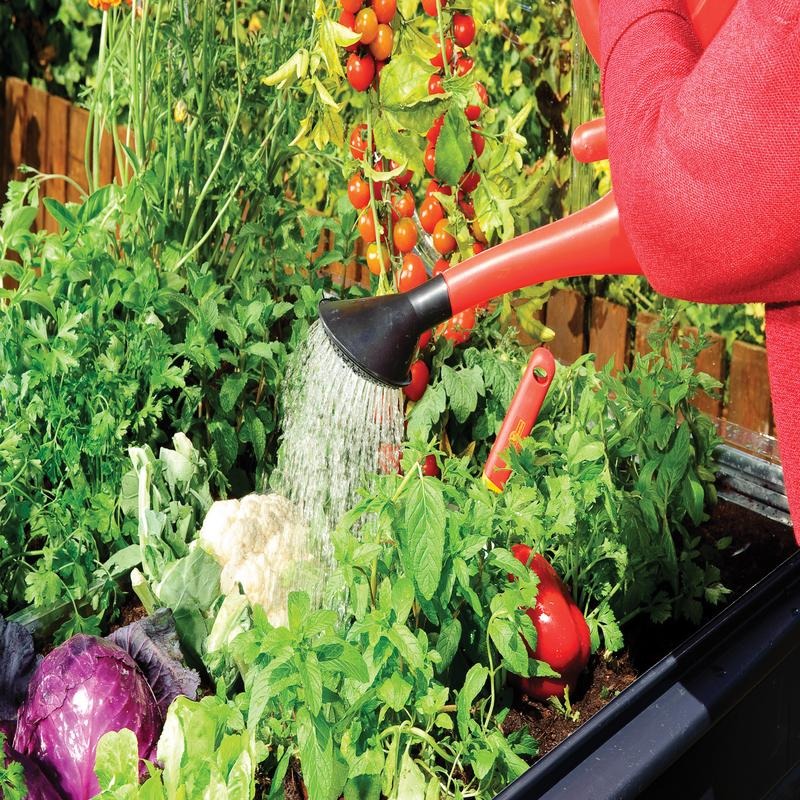 Palram - Canopia Grow House Plant Inn With Storage | Sheds.co.uk