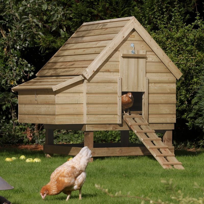 Rowlinson 5' x 4' Pressure Treated Shiplap Chicken Coop | Sheds.co.uk