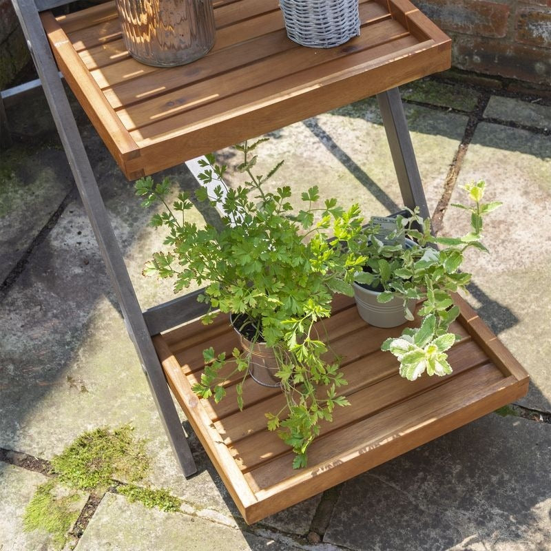 Rowlinson Alderley Plant Ladder - Large | Sheds.co.uk