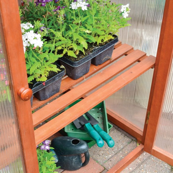 Rowlinson Hardwood Mini Greenhouse | Sheds.co.uk