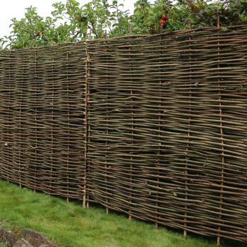 Adley 6' x 6' Wicker Hurdle Fence Panel