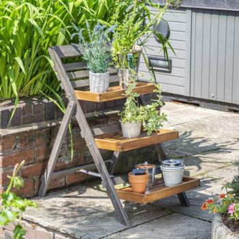 Rowlinson Alderley Plant Ladder - Small