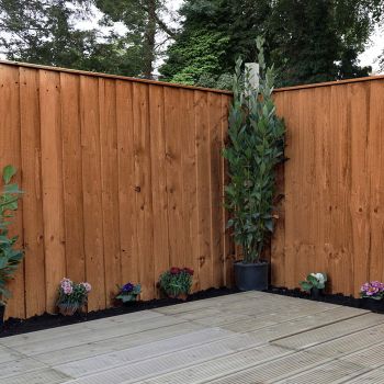 Adley 3' x 6' Pressure Treated Feather Edge Flat Top Fence Panel