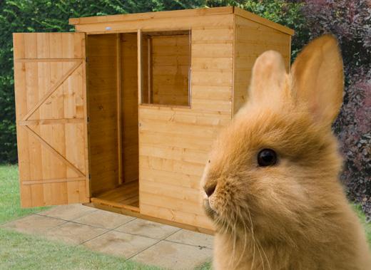 Sheds for Bunnies