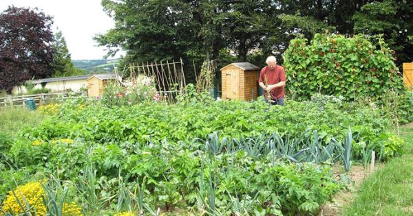 How to Get An Allotment